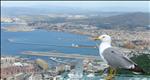 looking out over Gibraltar